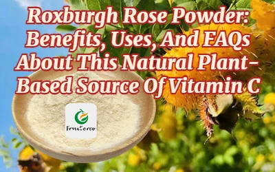 Roxburgh Rose Powder: fördelar, användningsområden och vanliga frågor om denn...